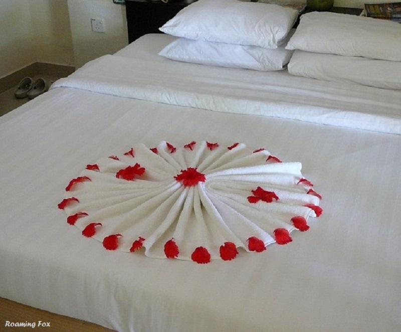Creative towel art around the world — Roaming Fox | Travel Blogger and  Writer, South Africa