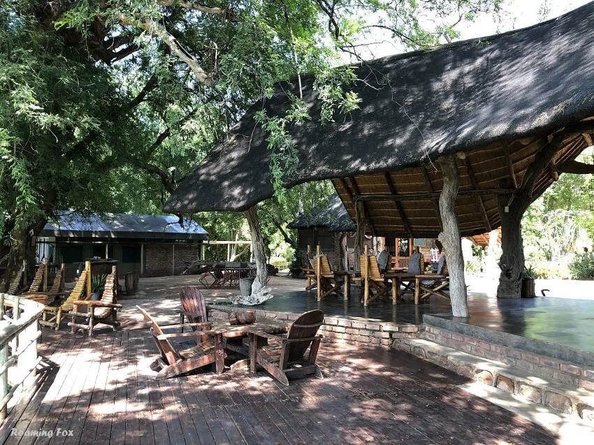 Adventurous wildlife encounters at Ratho Bush Camp