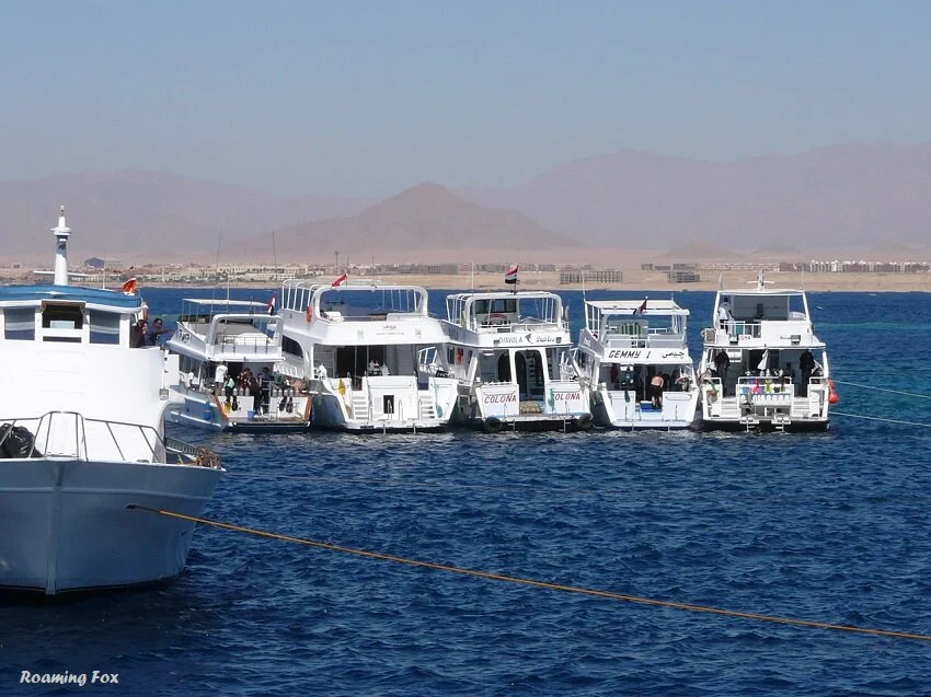 Scuba dive the Red Sea on a Liveaboard from Sharm el Sheikh