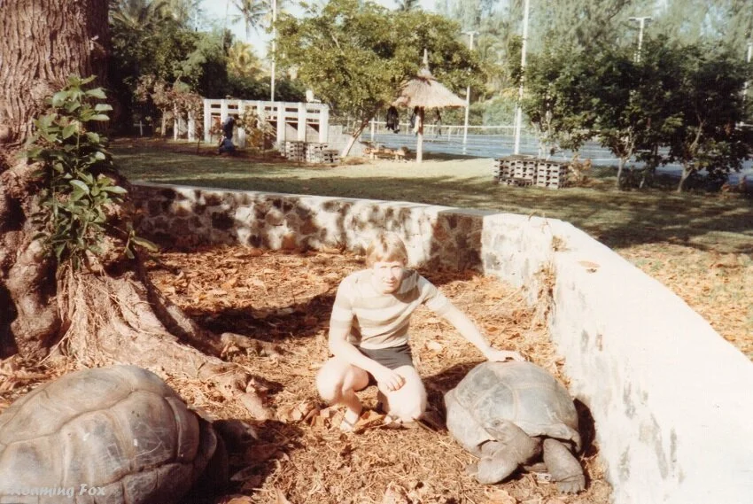 Giant-tortoise-Mauritius.jpg