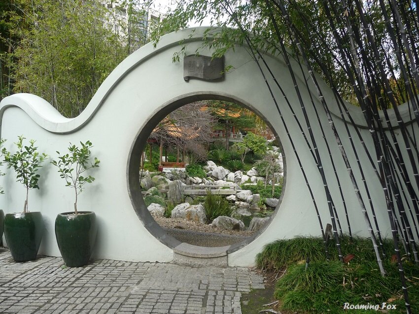 Finding serenity, a Lotus pond and a Teahouse in a Chinese Garden in Sydney