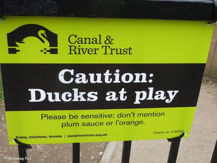 Fascinating travel funnies and facts