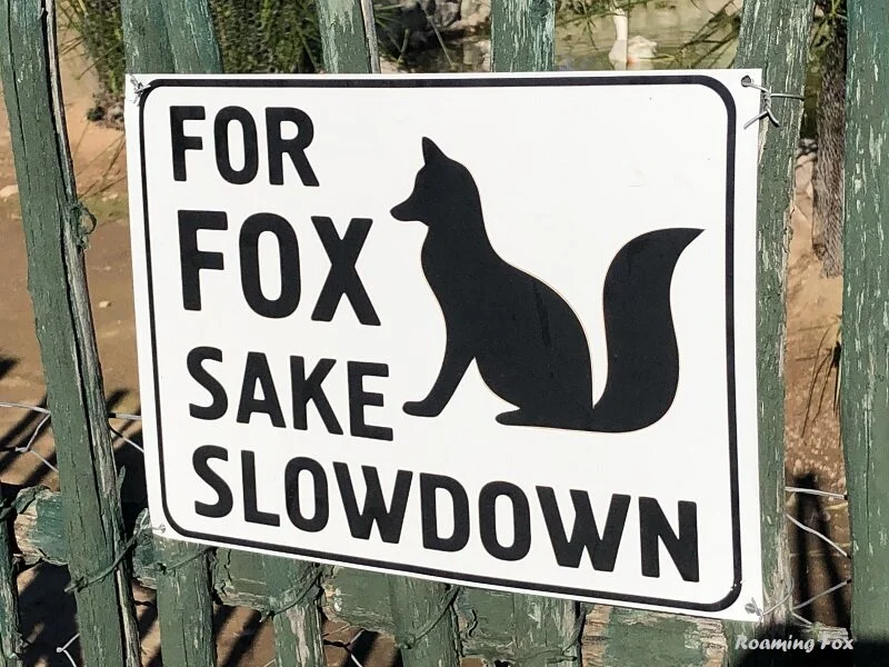 Roaming Fox's travel wish list 2021 and predicted trends 