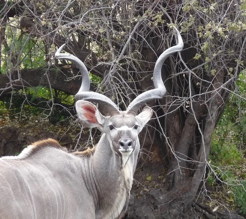 In pursuit of travel, adventure and safari in all SanParks