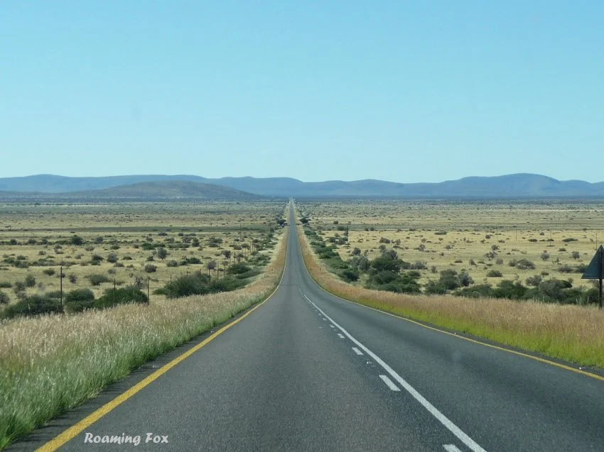12 Irresistible Reasons to Take a Road Trip for Your Next Adventure
