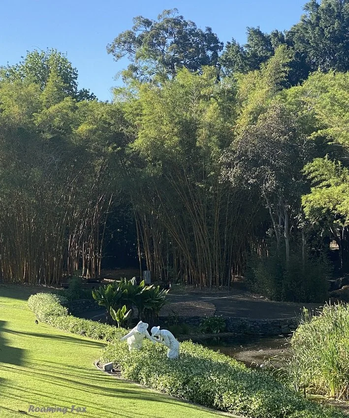 Brisbane Day Trips Botanic Gardens Mount Coot-tha