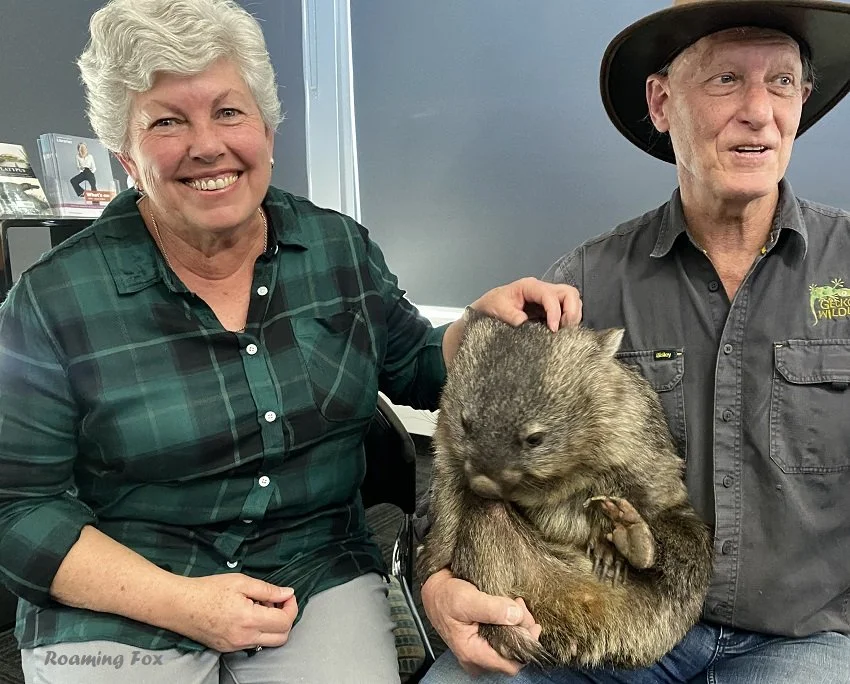 Roaming-Fox-Wombat-meet-and-greet.JPG
