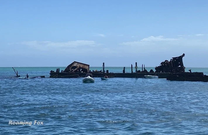 Brisbane Day Trip – Snorkel Tangalooma wrecks