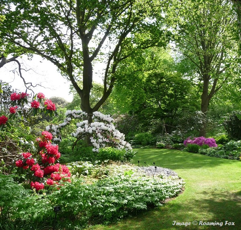 Kew Royal Botanic Gardens — Roaming Fox | Travel Blogger and Writer ...