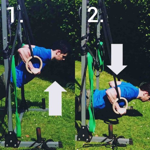 7 Ring Push ups Benefits (Why they're the best push up variation