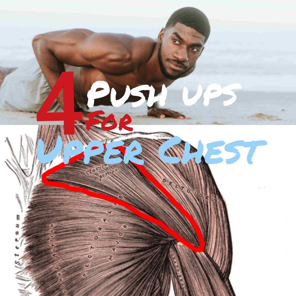 4 Push ups to Target Upper Chest (That Actually Work) —