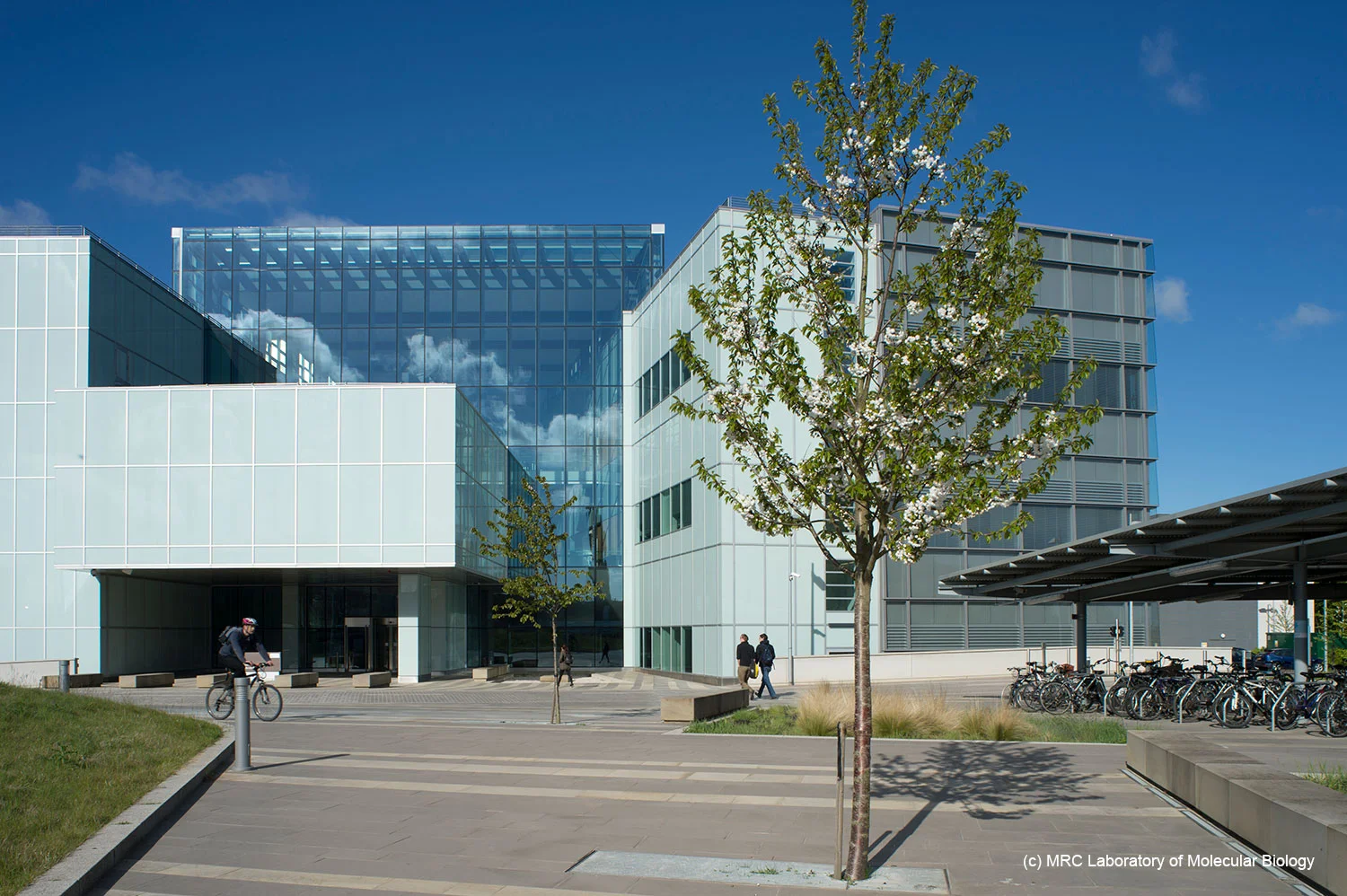 Medical Research Council Laboratory of Molecular Biology — MCW architects