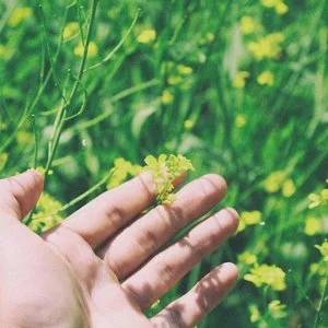 hand and flower.jpg