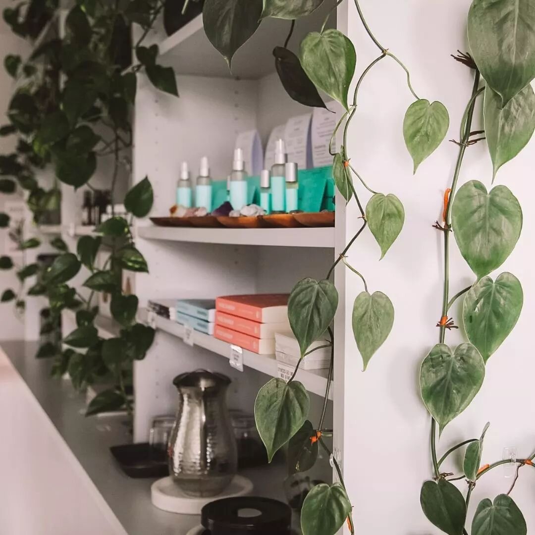 At The Revitalise Centre, my &lsquo;home away from home&rsquo;, I'm always reminded of the importance of tending to my dreams with the same care and attention that a plant needs to grow! 💚&nbsp; 5+ years strong 🙌✨