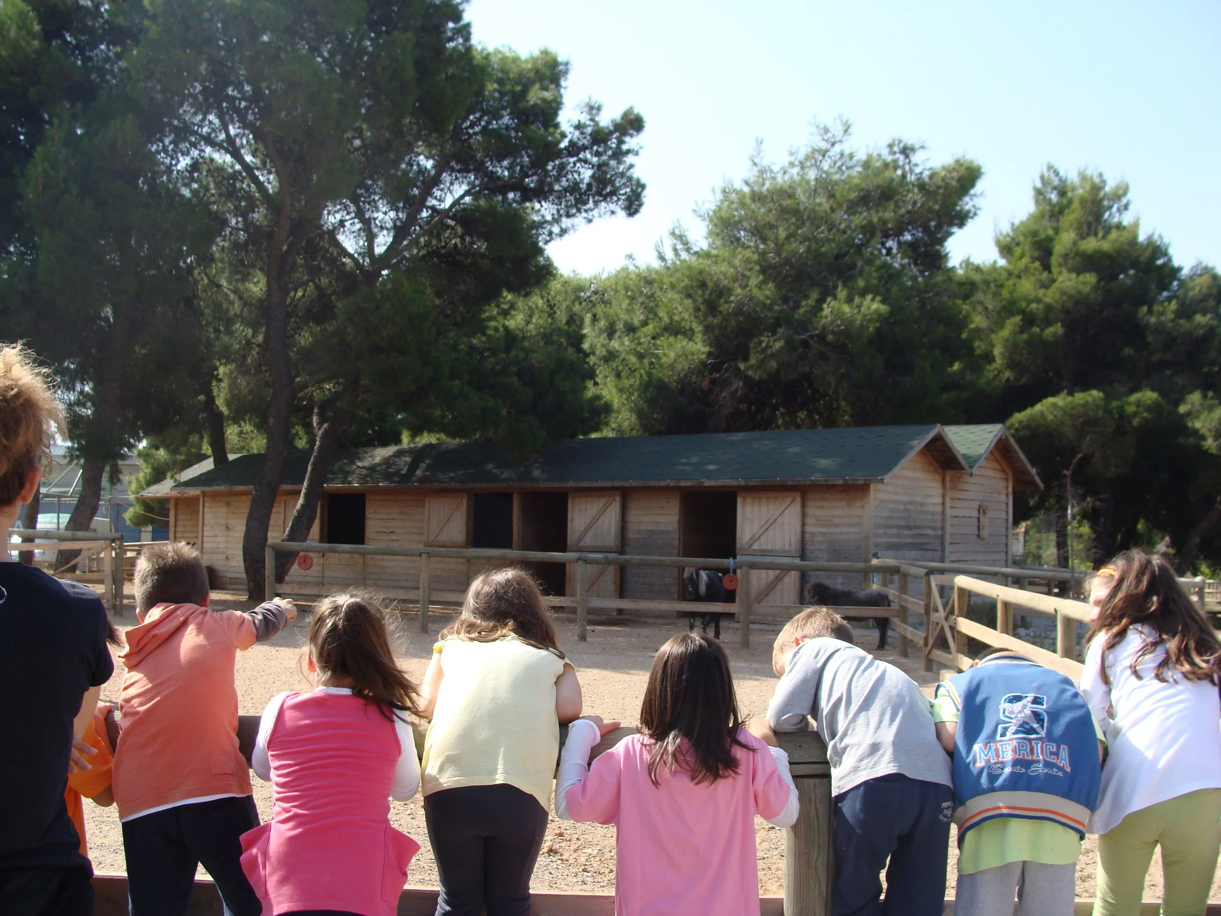 A CocoMat 15-10-13_71.jpg