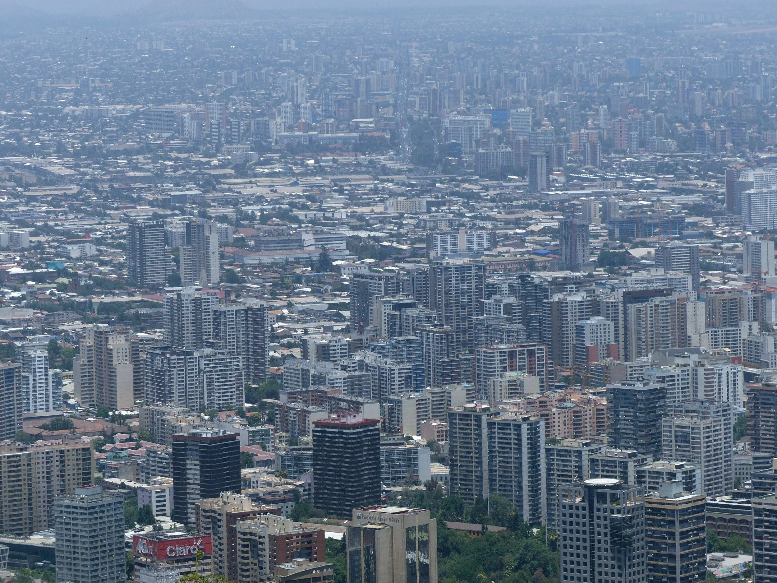 P1040533.jpg