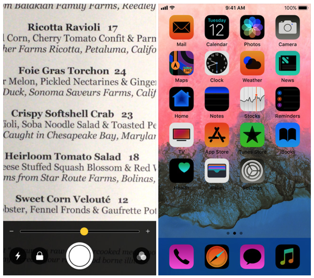 Since its first release in 2007, the iPhone has been playing a key role in disabled users’ lives. iPhone accessibility support features include ‘VoiceOver’ (a gesture-based screen reader), Braille displays, font adjustment, iPhone-specific sound processors, visible/vibrating alerts, ‘Type to Siri’ and closed captions (for hearing loss), and ‘Switch Control’ and ‘AssistiveTouch’ (for physical motor limitations). (Source: Apple iPhone and iPad Accessibility Support )