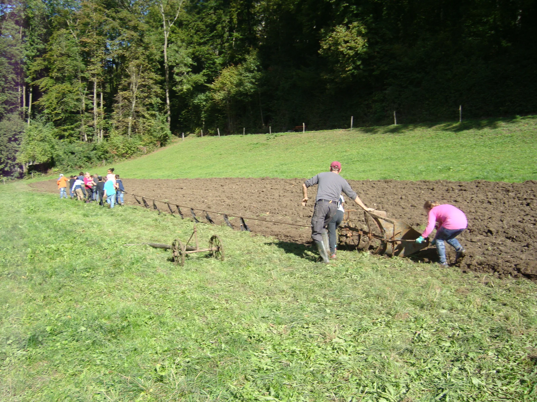 Wir Pflügen den Acker.
