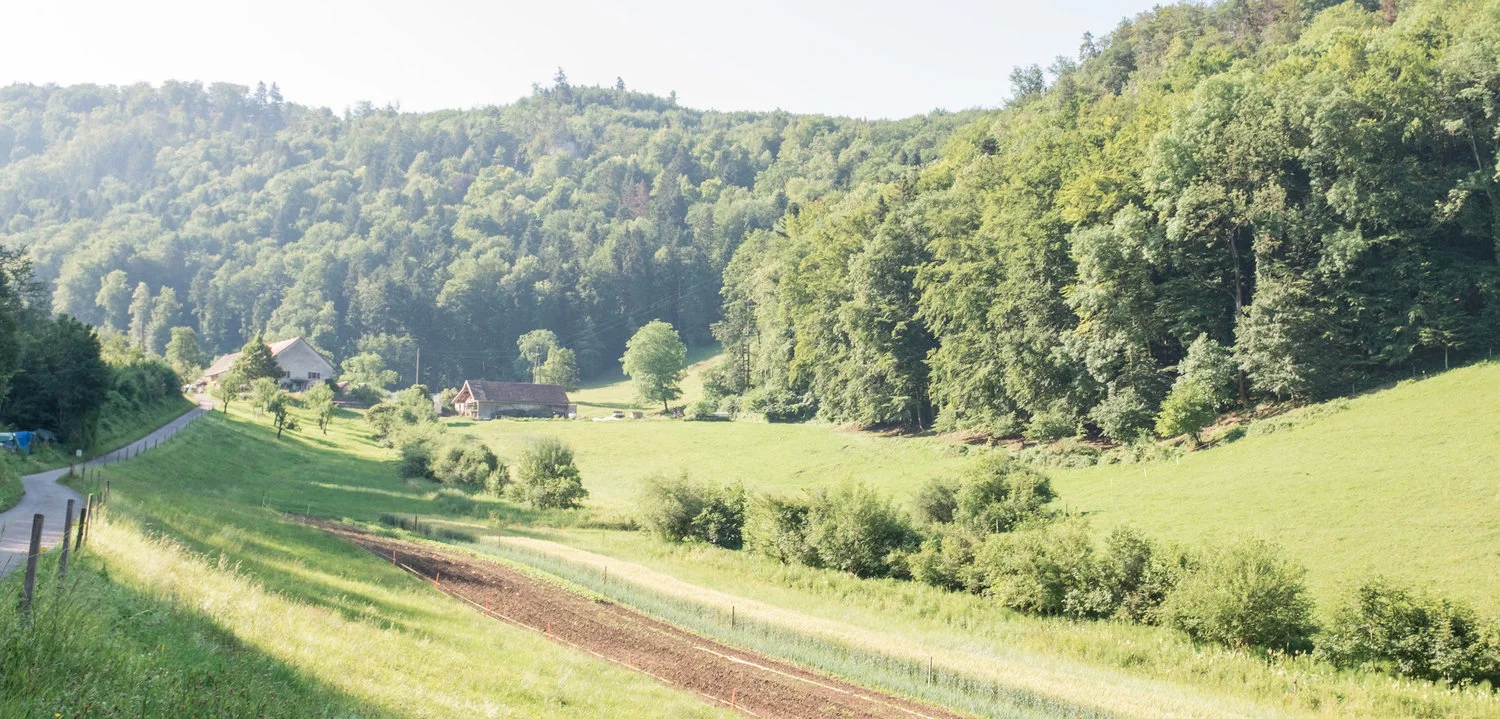 Banner_2019_02.jpg