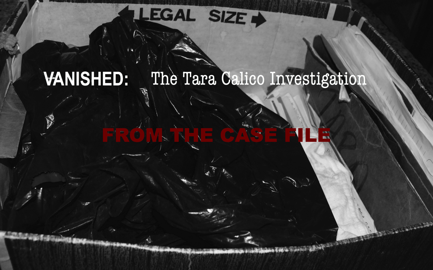 From the Case File Main 1.jpg
