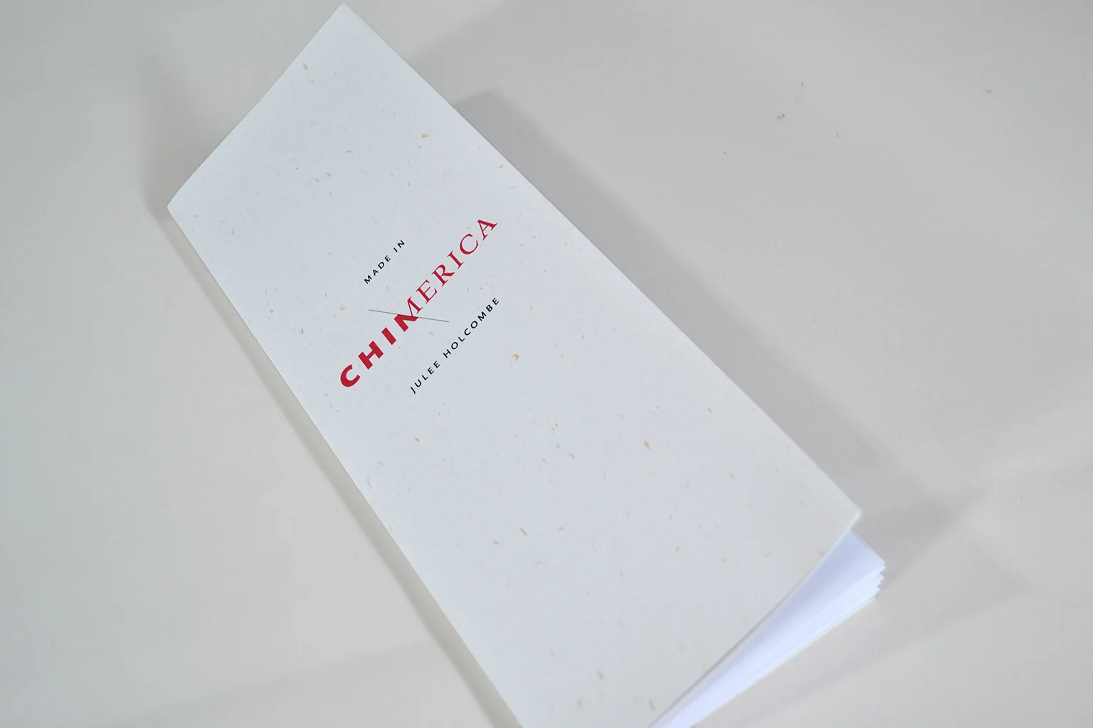 chimerica_DSC_0265-squarespace3.jpg