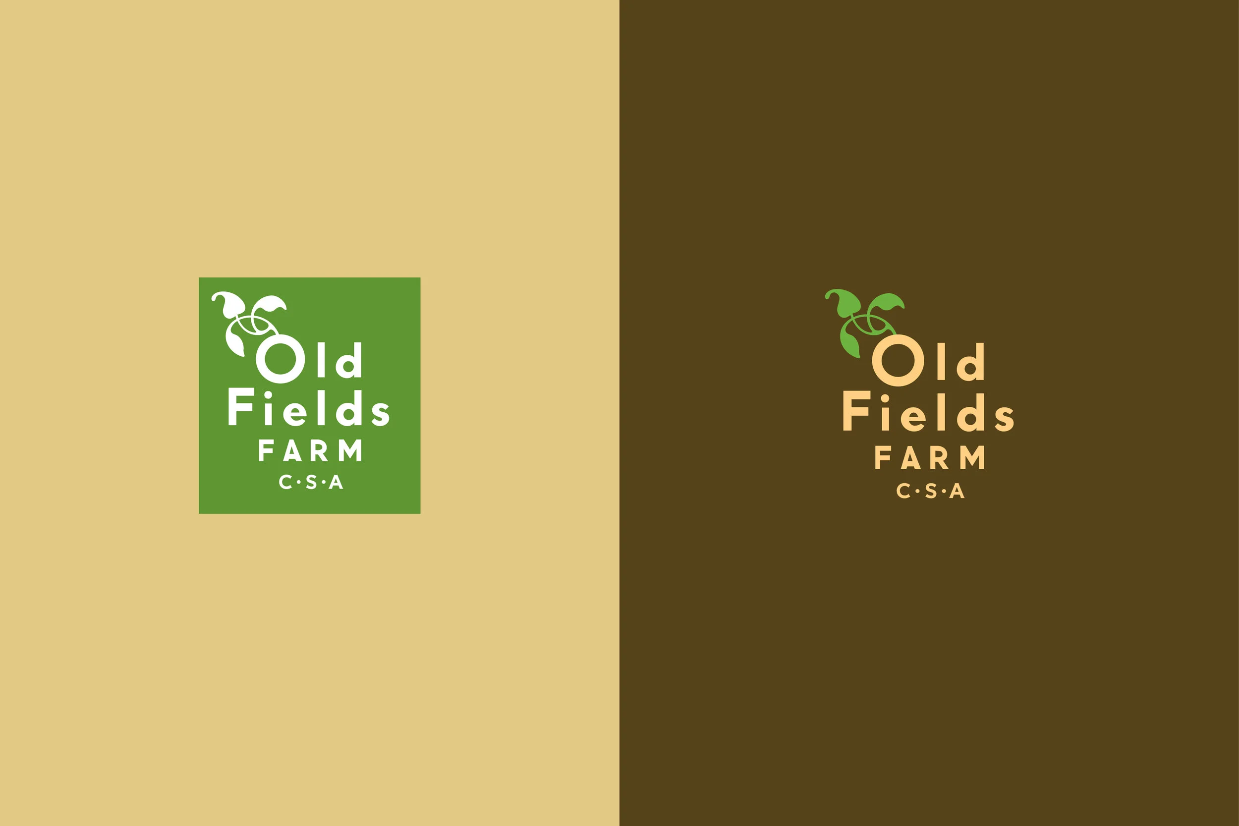 branding-examples_squarespace6.jpg