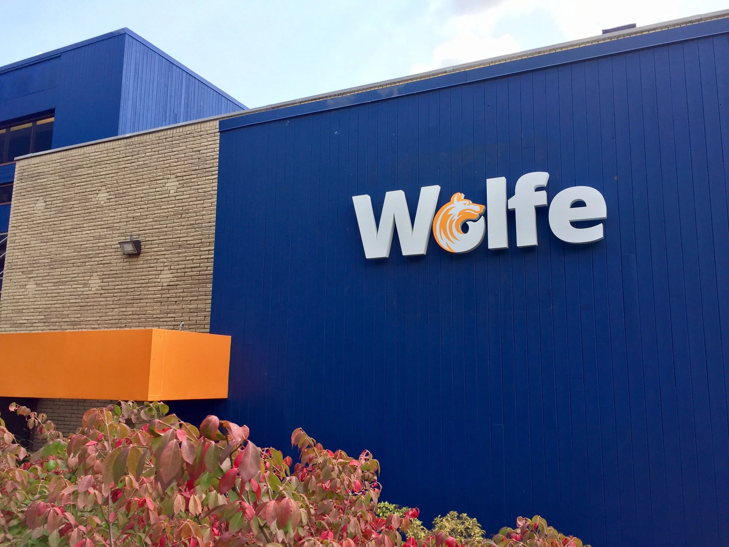 wolfe.jpg