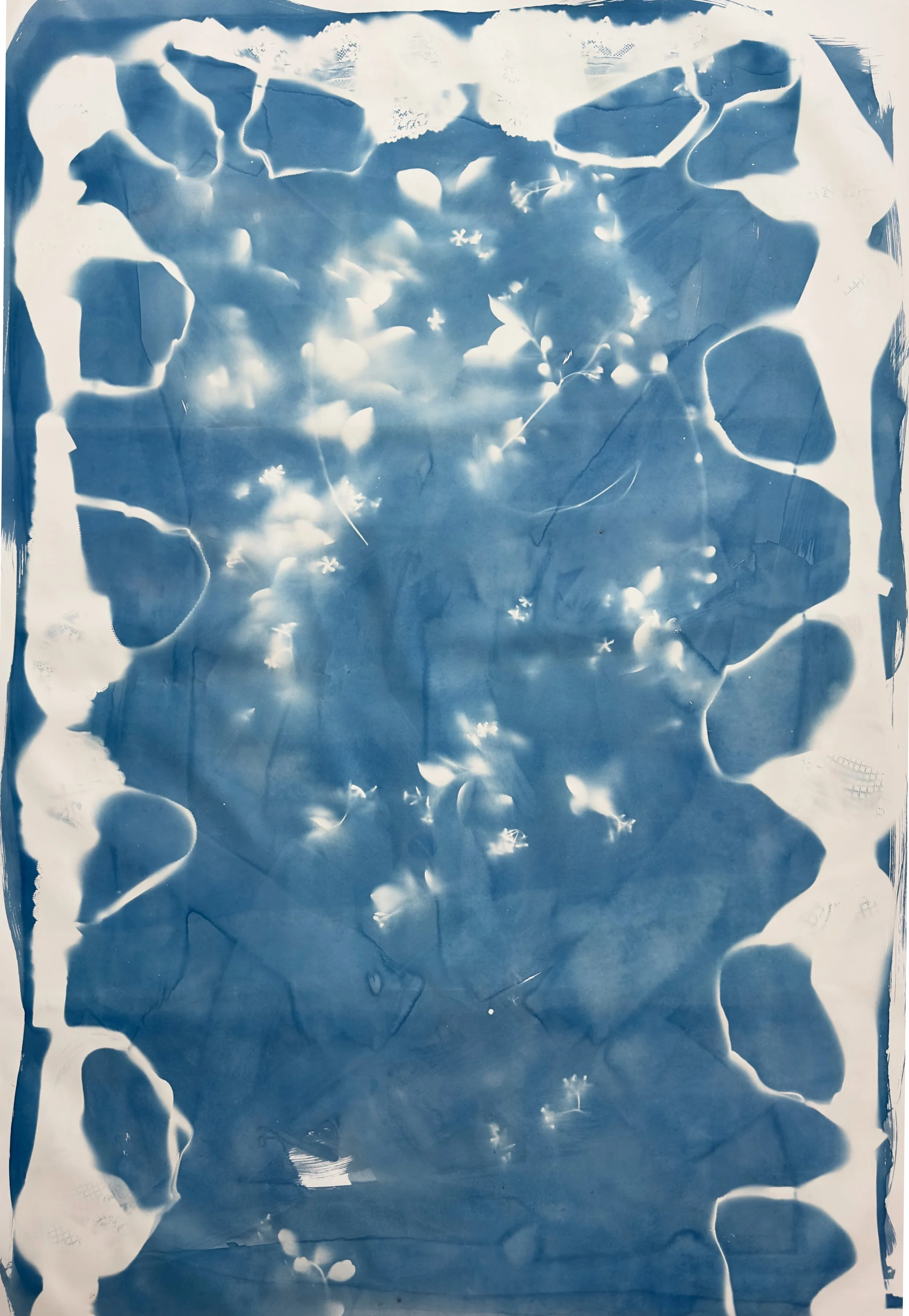  Strange Architecture cyanotype fluid on paper 42" x 63” 2024 