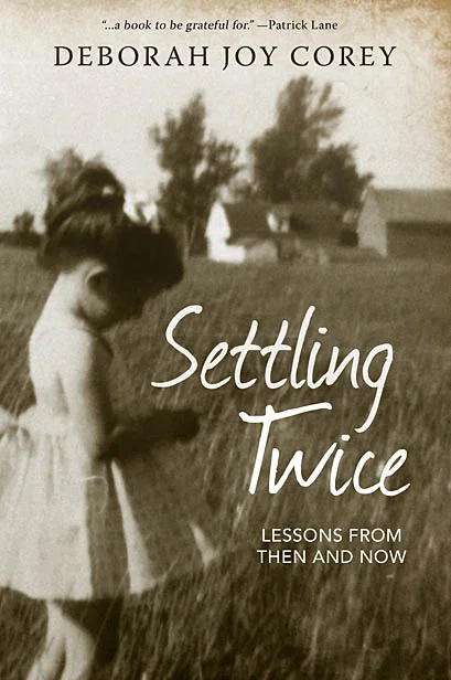 SettlingTwiceWeb_Book_Cover.jpg
