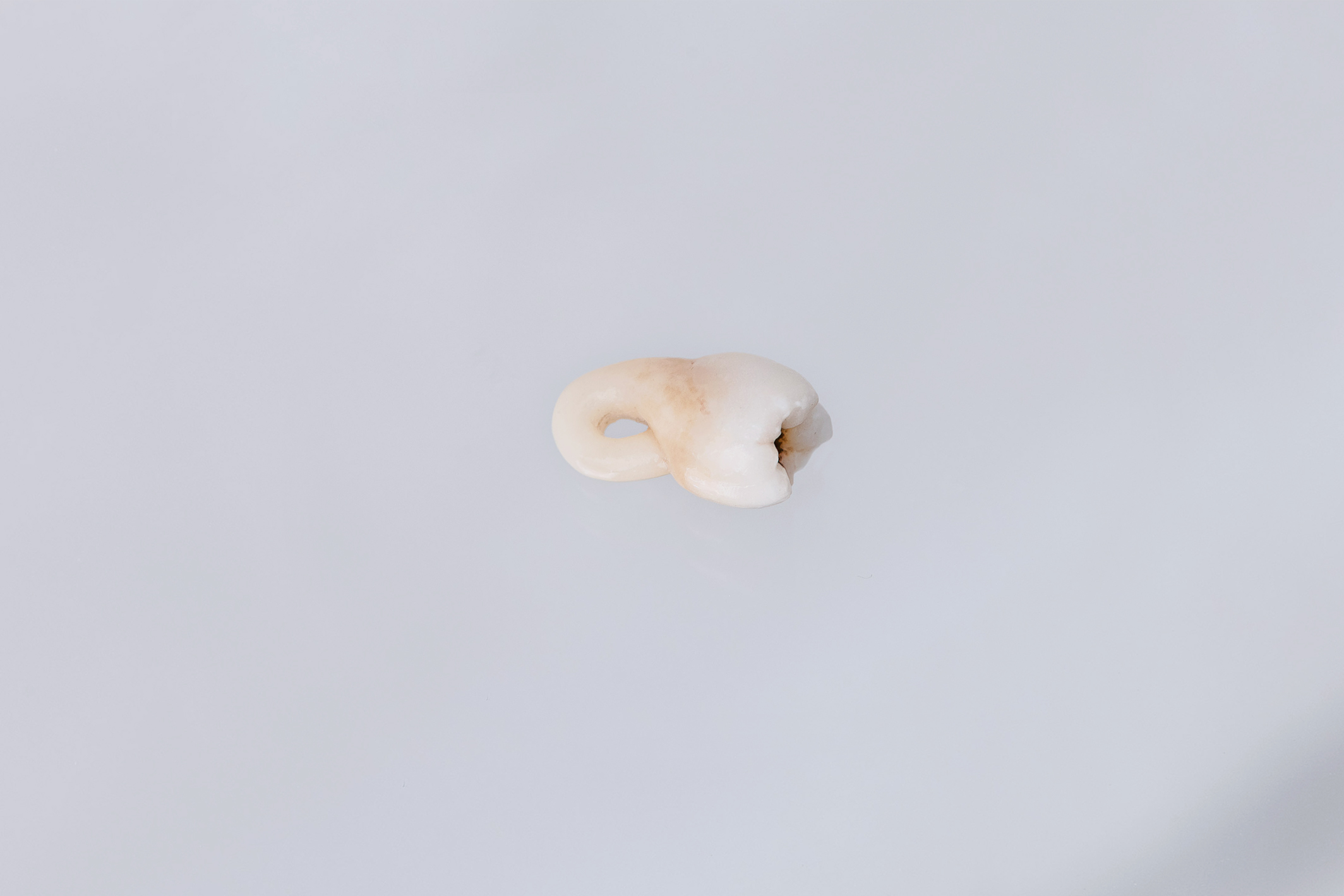   Augmented fragility , Rhizome, cast dental ceramic, 12x11x6mm, London 2014 