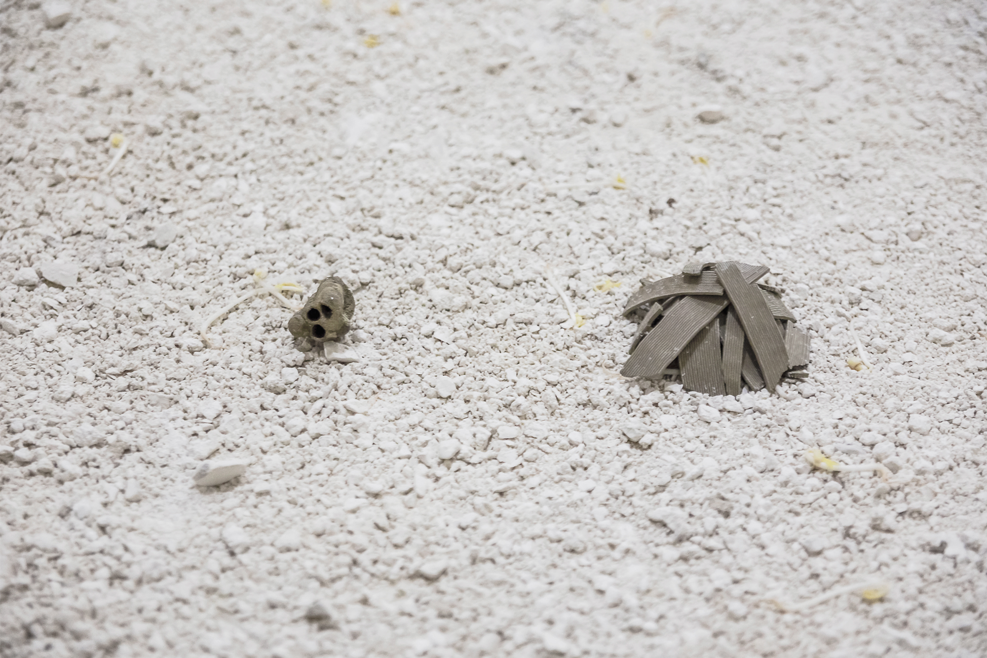   il chiaritoio,  mud wasp nest, 3D printed mud fragments, travertine dust, sprouts 