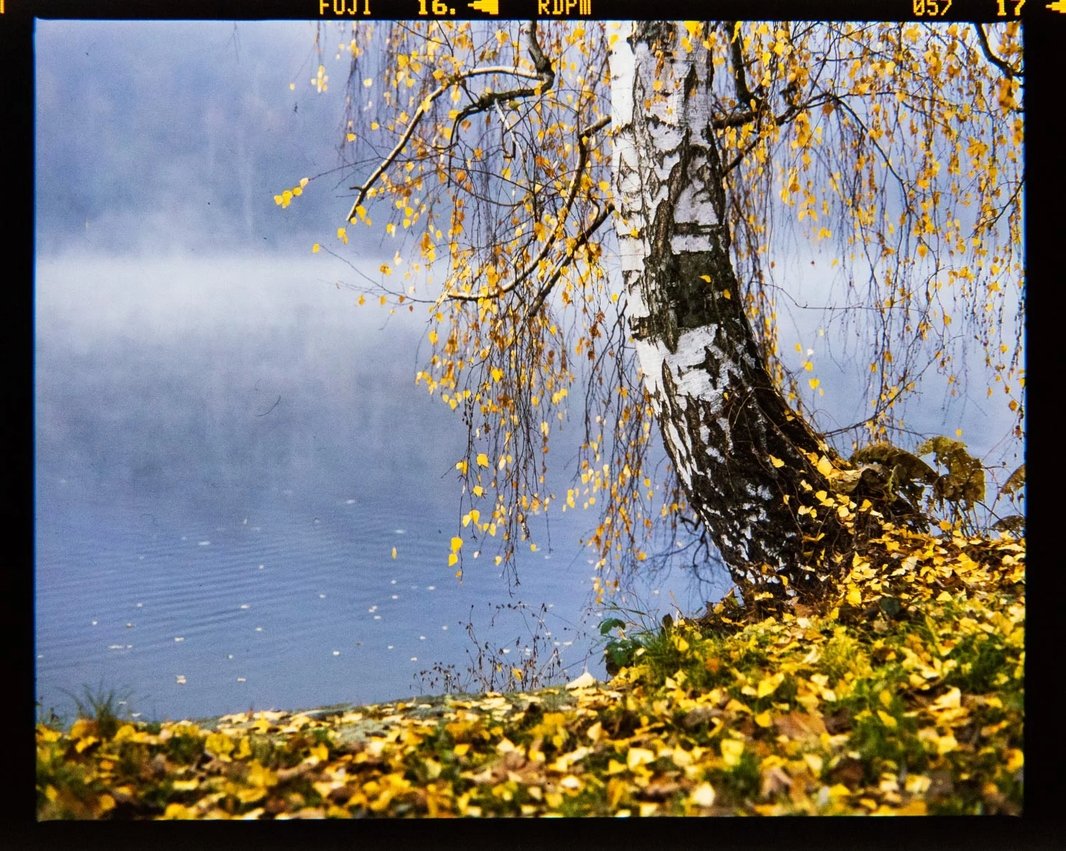 Prague-by-Nick-DuPlessis-009.jpg