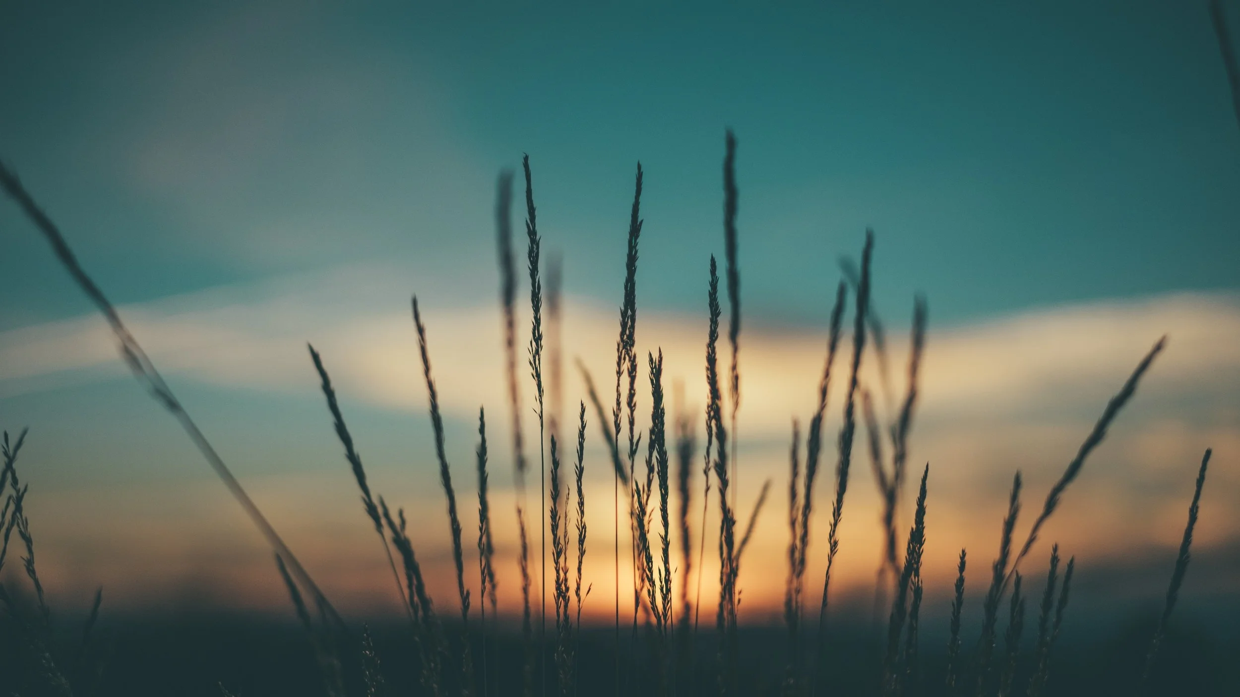 aperture-vintage-146736.jpg