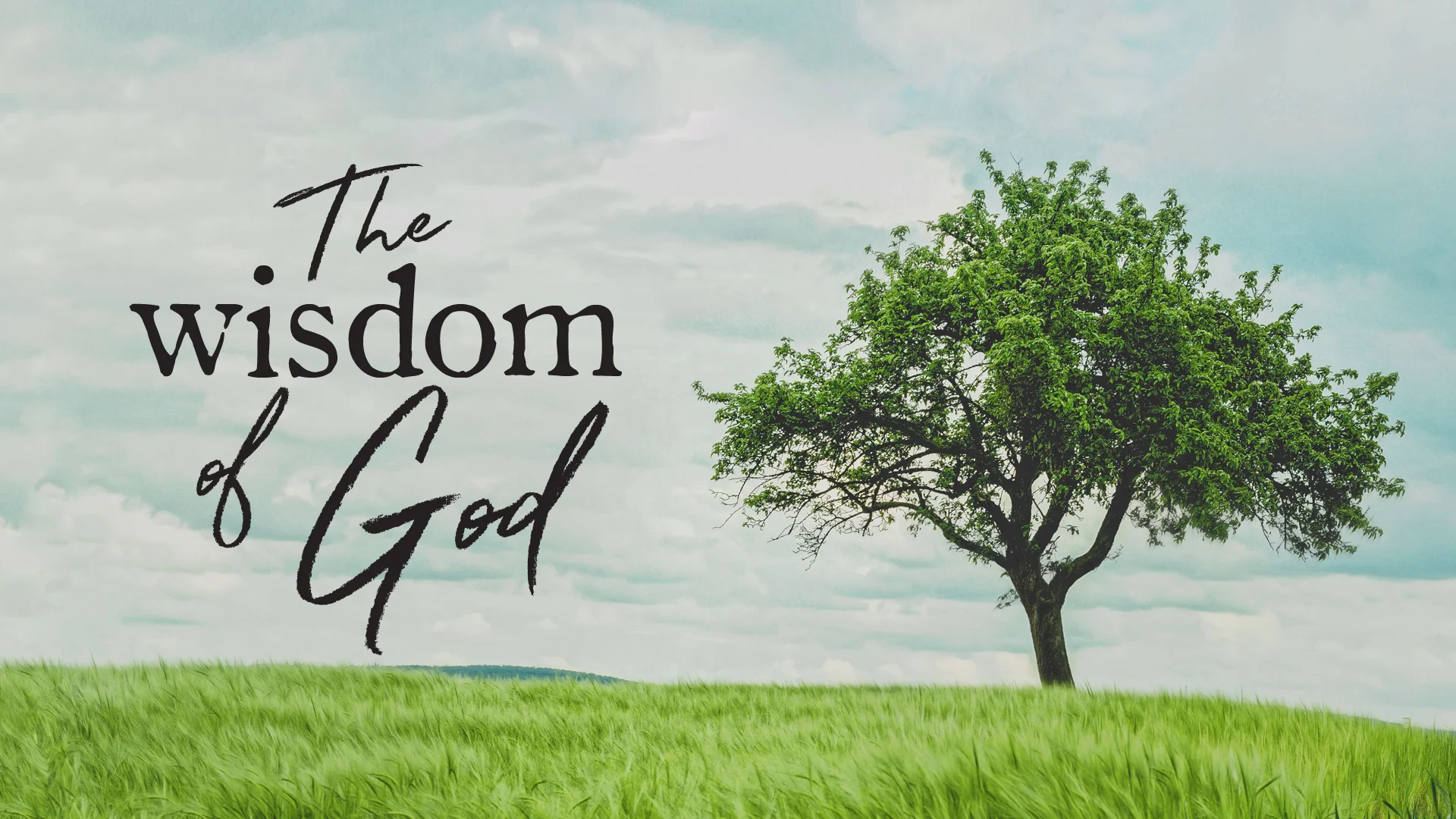 The Wisdom of God.jpg