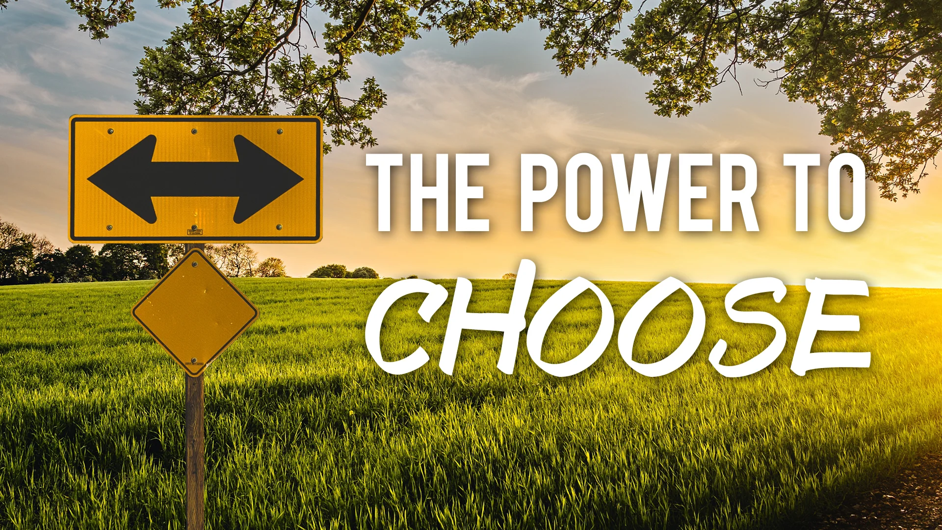 the power to choose 2.jpg