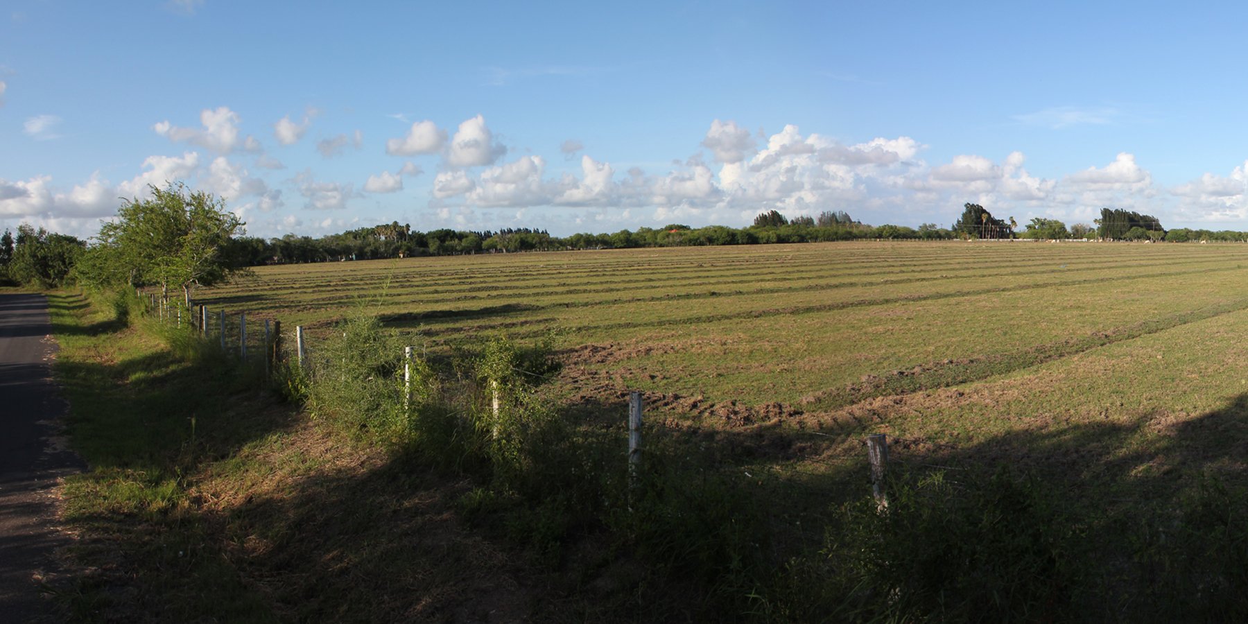 BCF Bought The Land — 2013