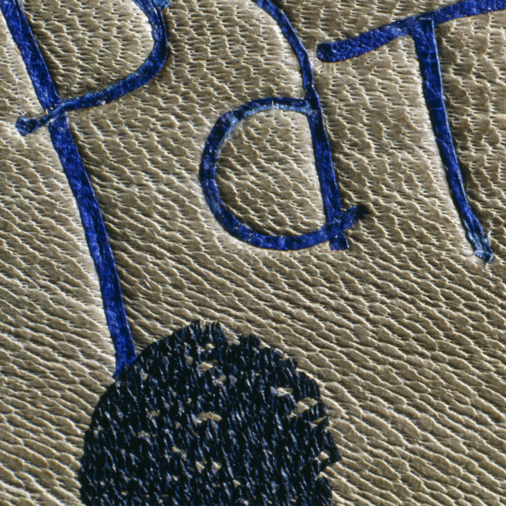 11_Patrick|2000detail.png