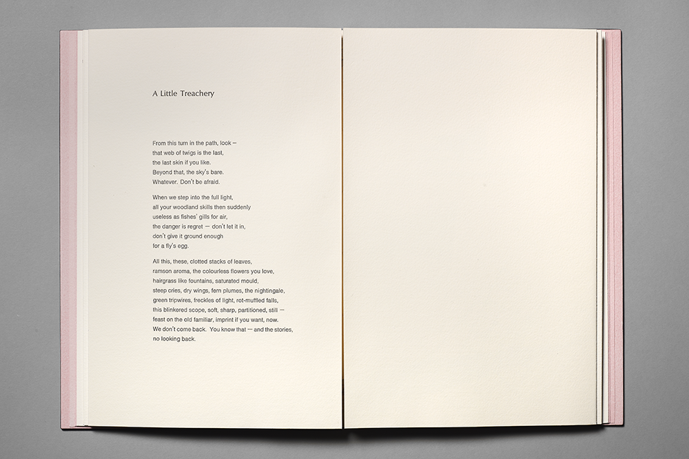 A Little Treachery_Tracey Rowledge_open.png