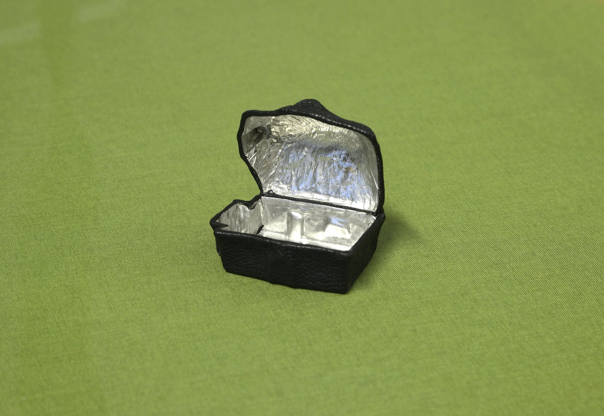 Nigel Green__Housed No.1.JPG