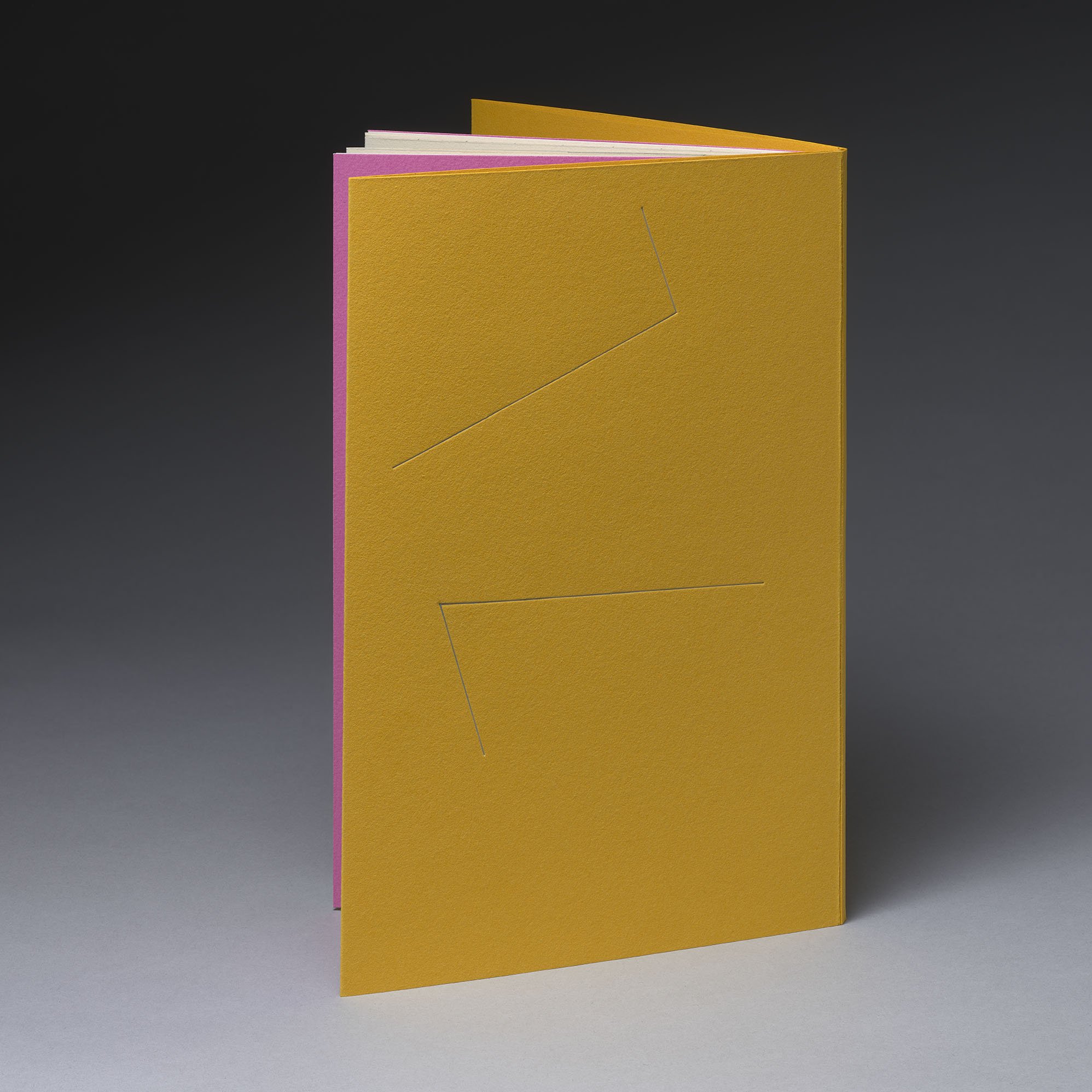 Tracey Rowledge book 1 view 2 v2.jpg