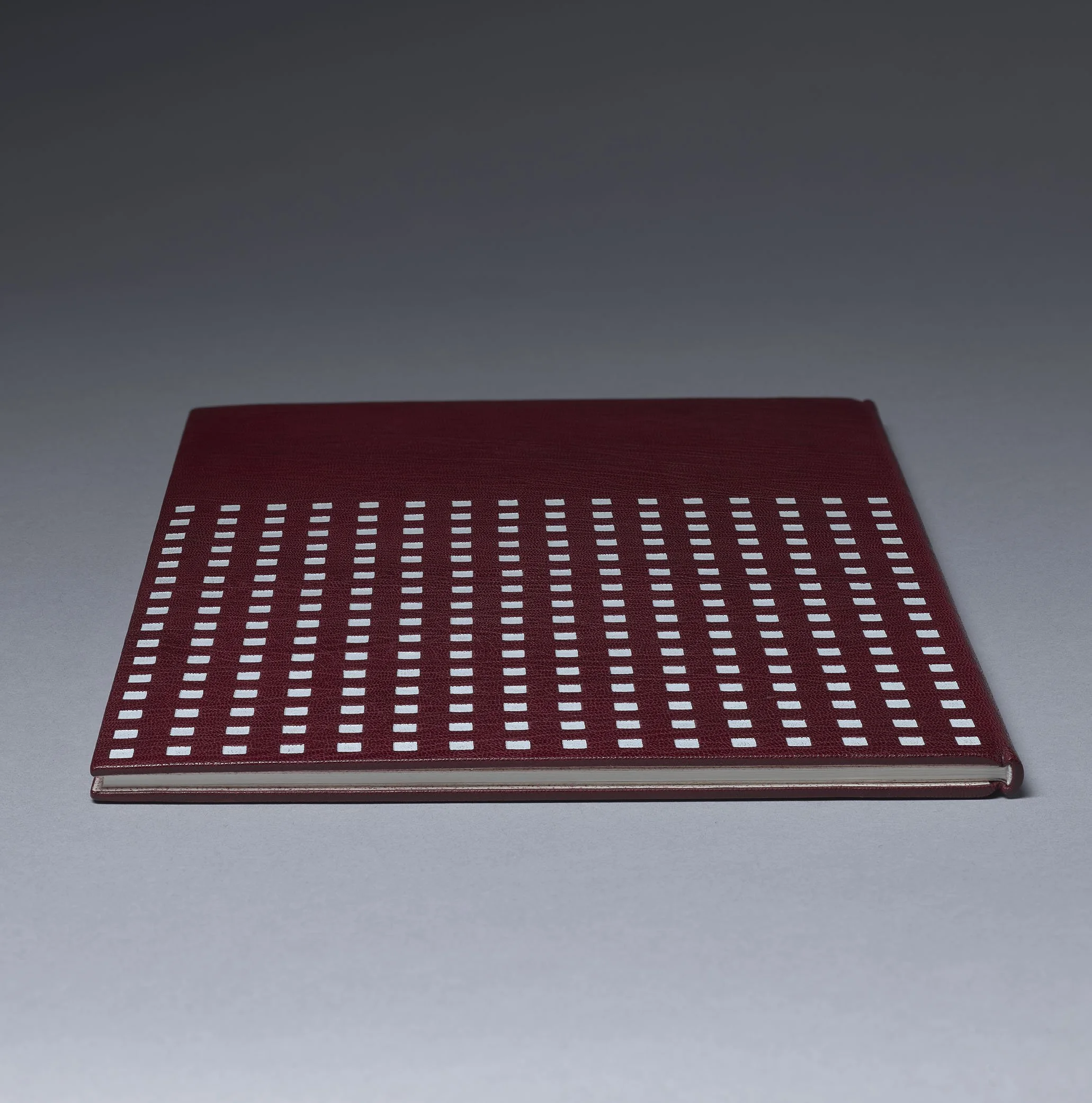 Tracey Rowledge book 2 view 3 v2.jpg