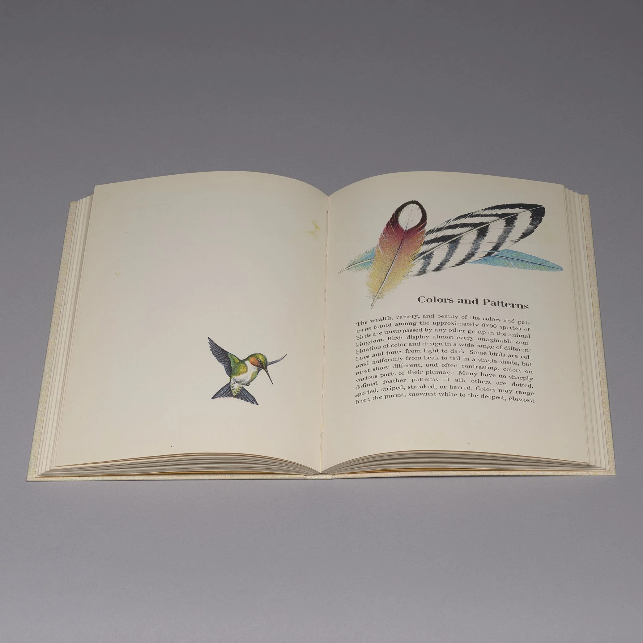 Tracey Rowledge Book View 2 Square.jpg