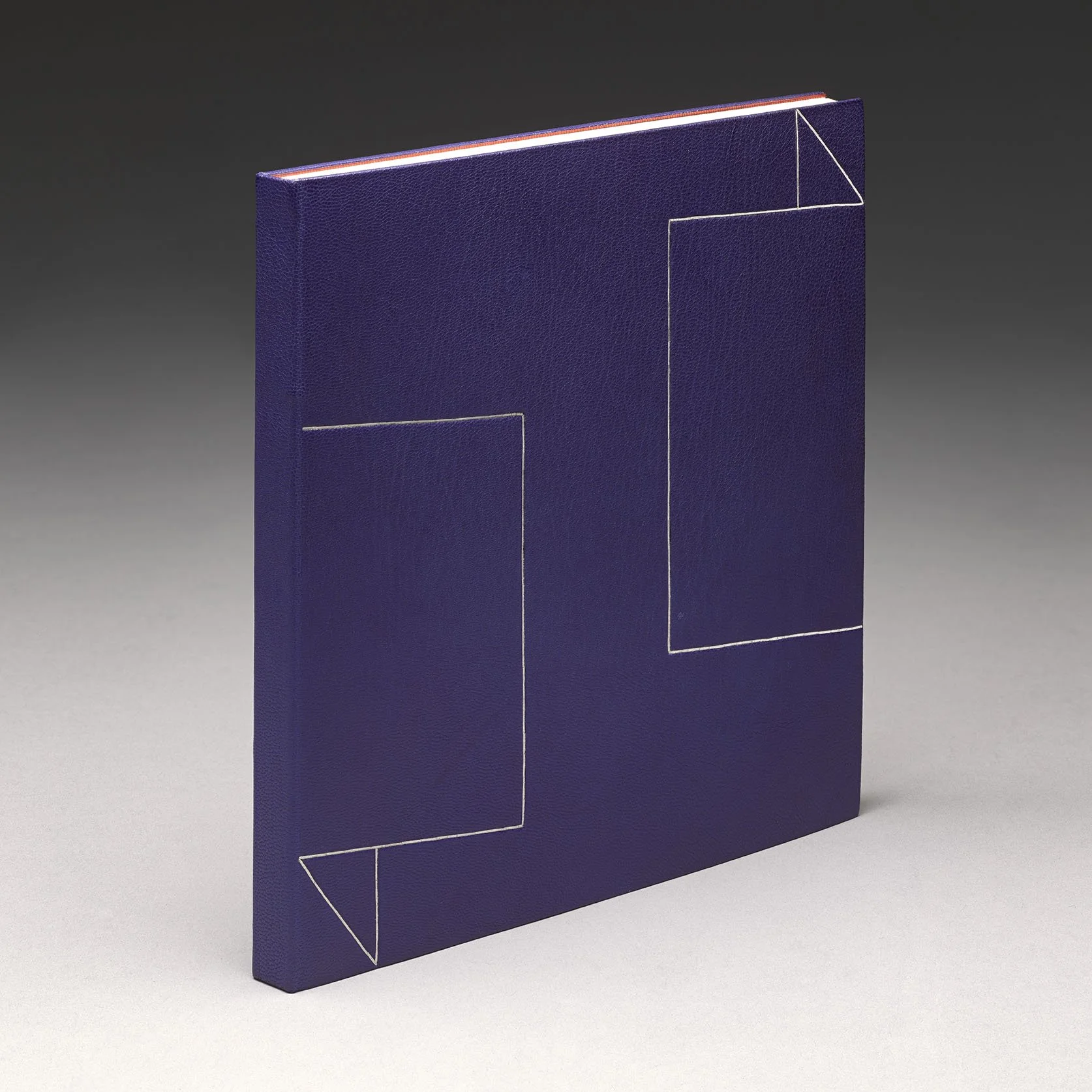 The Blue Guitar_2026_2.jpg