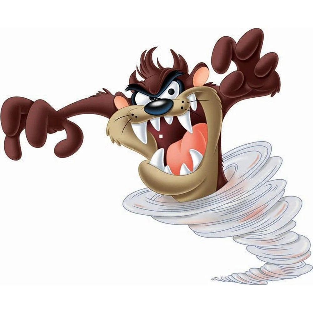 taz.jpg
