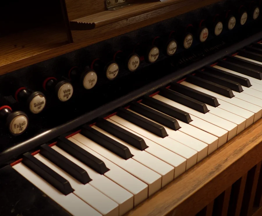 organ.jpg