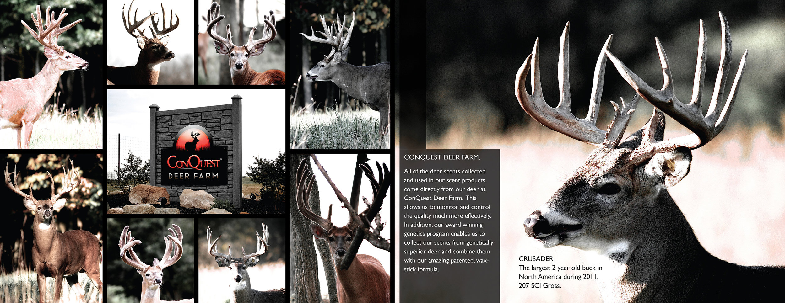 ConQuest Deer Farm.jpg