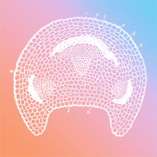 tumblr_n4ys6mEibq1rjatglo2_r1_500.gif