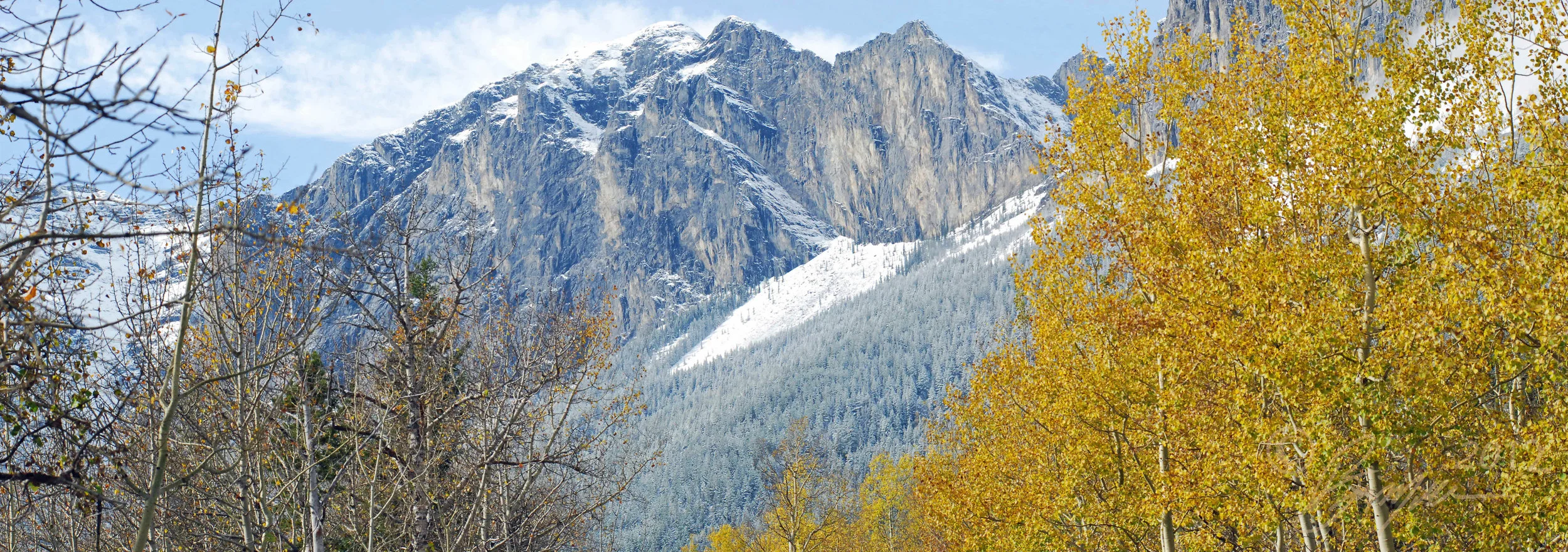 DSC_8595 & 96.jpg