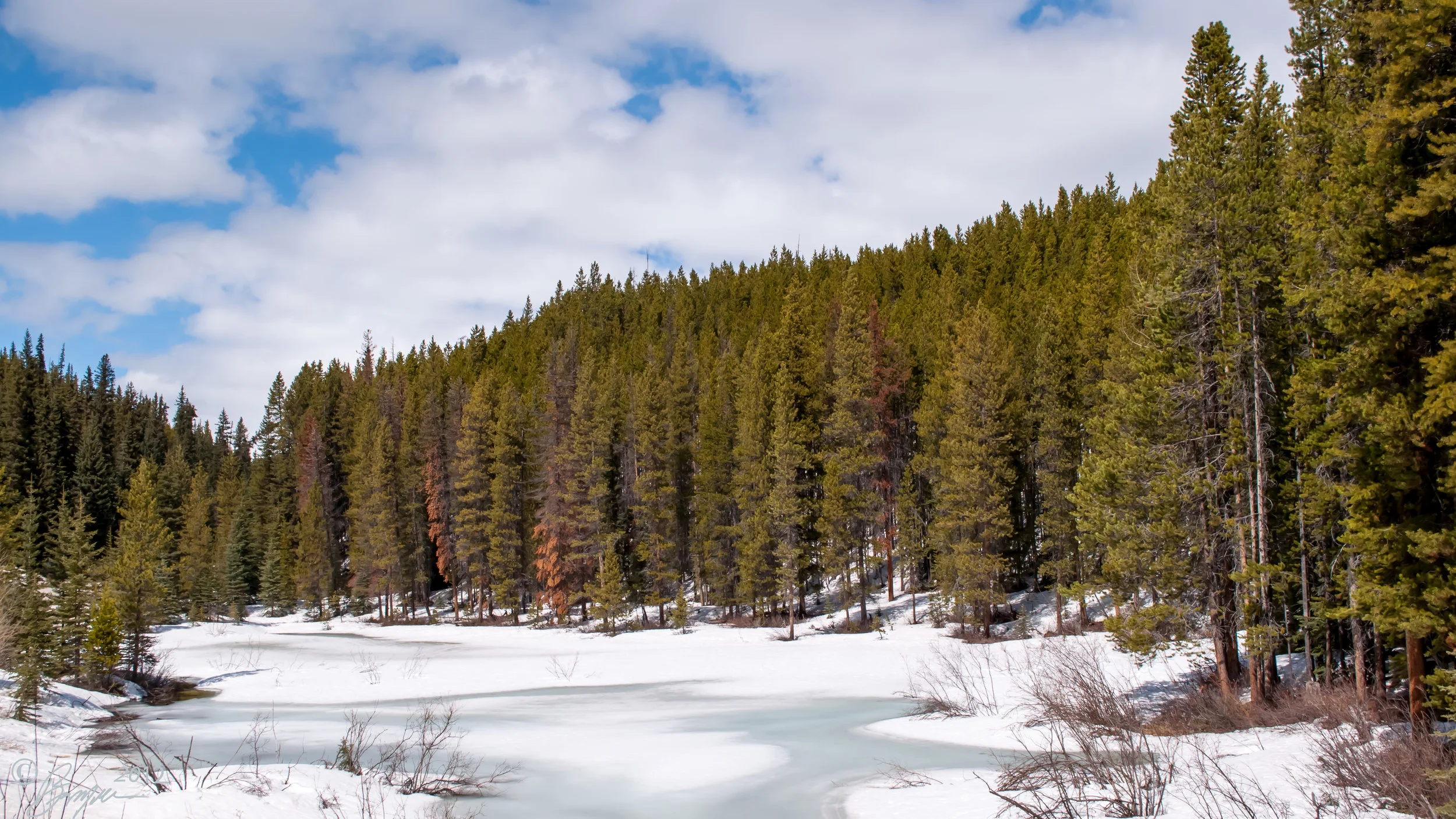 DSC_1427.jpg