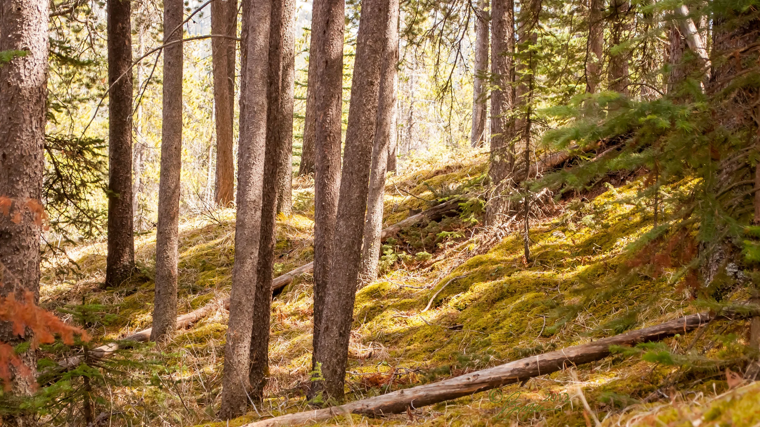 DSC_1682.jpg